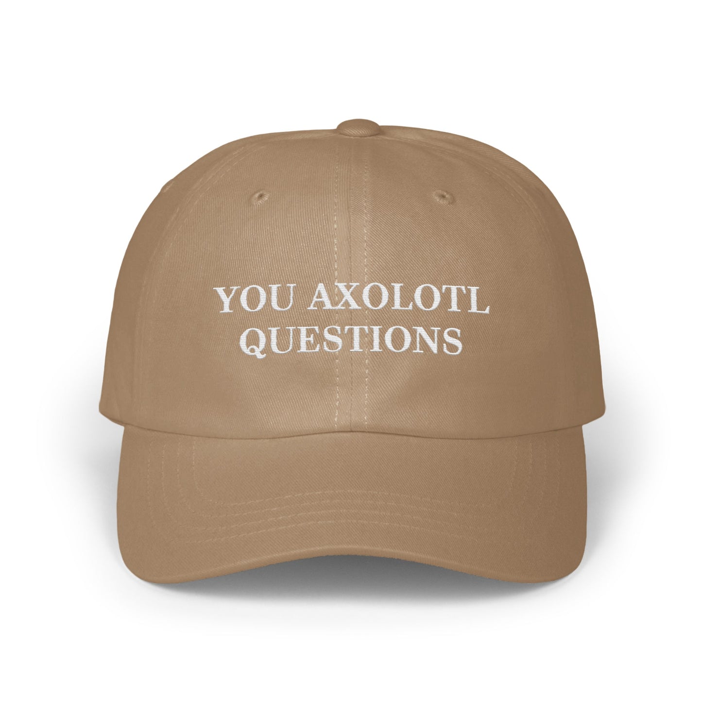 You Axolotl Questions Design Embroidered Hat product type