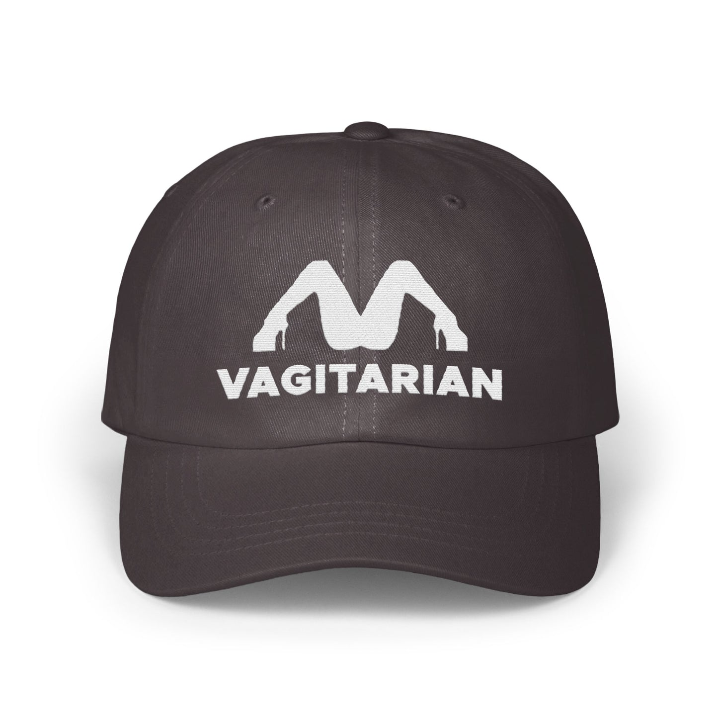 Fun Bold Vagitarian Statement Hat product type