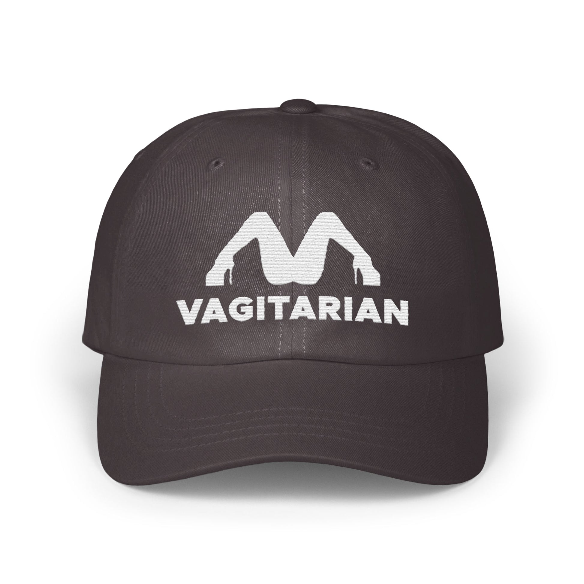 Fun Bold Vagitarian Statement Hat product type